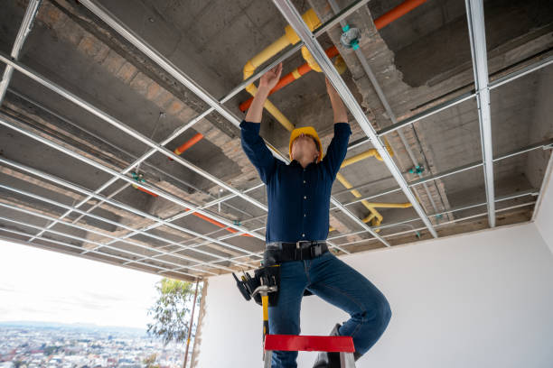 Best Local Plumber Services  in Fox Chase, PA