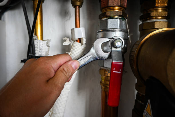 Best Drain Cleaning Services  in Fox Chase, PA